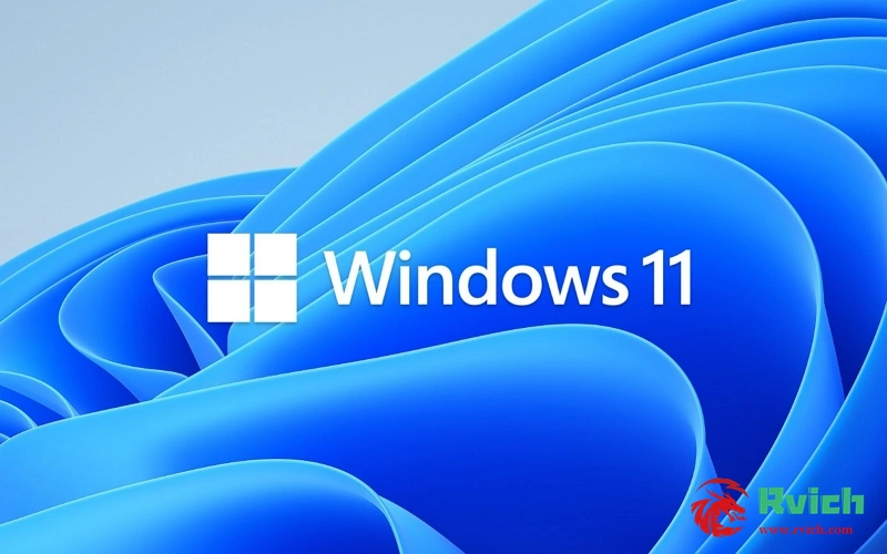 图片[1]-Windows 11 Pro for Workstations 22H2 DD 镜像-Rvich Magazine